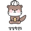 도은세일 이미지