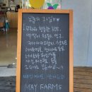 메이팜스대전