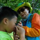 운천초병설유치원 이미지