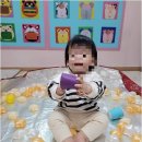 세교보석