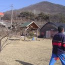 별밭에서 이미지