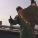 영산홍가 이미지