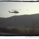 진화목장 이미지