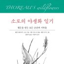 소로