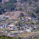 들국화(만수)마을 이미지