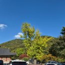 영남자원 | 부산 가을 가볼만한곳 절 사찰 범어사 후기 단풍절경