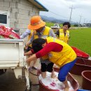 신나는세탁 이미지