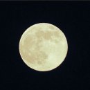 더홍(The Hong)