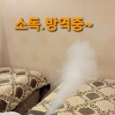 스킨앤바디뷰티샵