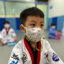 국가대표신동태권도장 이미지