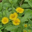 허문공원 이미지