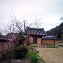 [경북〃안동] 백하 김대락과 내앞마을