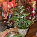 보광모텔 이미지