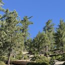 Mt. Timber 를 다녀 왔습니다 이미지