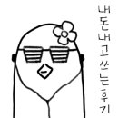 퍼피월드제주 이미지