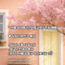 * 서울 성내동 《한마음교회》 주일 예배 - 조태성 이미지