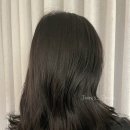 주니스수아