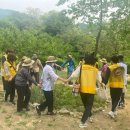 과천시치매안심센터 이미지