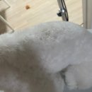 에이플러스에이 이미지