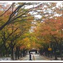 시계탑 광장 이미지