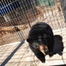 별난염소농장 | 굿모닝 대한민국 1,200마리 동물과 사랑에 빠지다 YOU 유별난 인생 동물농장 위치