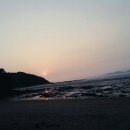 진촌해수욕장 네이버블로그