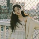 하울 이미지