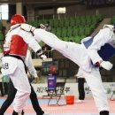 호국태권도체육관 이미지