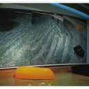 마로니에 하우스 이미지