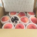 참스김밥 | 게눈감추듯 사라진 여름휴가..그리고.. 먹방..