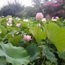 함평 경회루 이미지