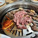 돈짱해물짱