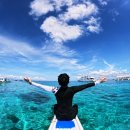 밥상 클라스 | 보홀 원클릭 호핑 투어 강추 후기 : 발리카삭 조인호핑 C (다이빙 사진 짱많음 주의) 🤿