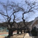 원이중학교이원분교장 이미지