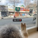 멈무드(mumood) 네이버블로그