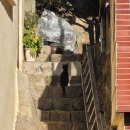 그린카타운 이미지