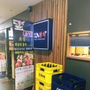늘푸른참치