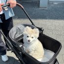 가든파크 이미지