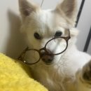 이오삼