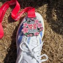 4454 | 여성 런닝화추천!! 아디제로 EVO SL 블루 JS4454 신고 마라톤10km 후기