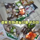 청양YMCA꾸러미사업단 | 식탁 위를 건강하고 풍성하게! 경북 친환경 농산물 꾸러미 언박싱
