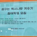 꿈꾸는 나무 도서관 이미지