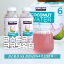 코코넛19 | 코스트코 커클랜드 시그니춰 핑크 코코넛워터 효능 칼로리 내돈내산 추천템 후기