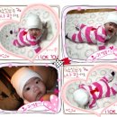 땡글이네 이미지