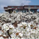 한길농원 이미지