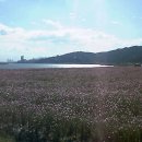 토평공원 이미지