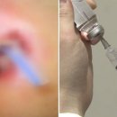 뷰티펫동물병원 이미지