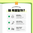 대전그레이프시드 이미지