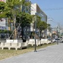 검배로 이미지