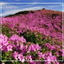 봄 풍경 / 靑山 손병흥 이미지
